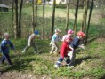 /album/den-zeme/dscn0140-jpg/